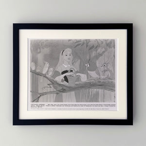 Sleeping Beauty 1959 Film Movie Press Publicity Still Framed