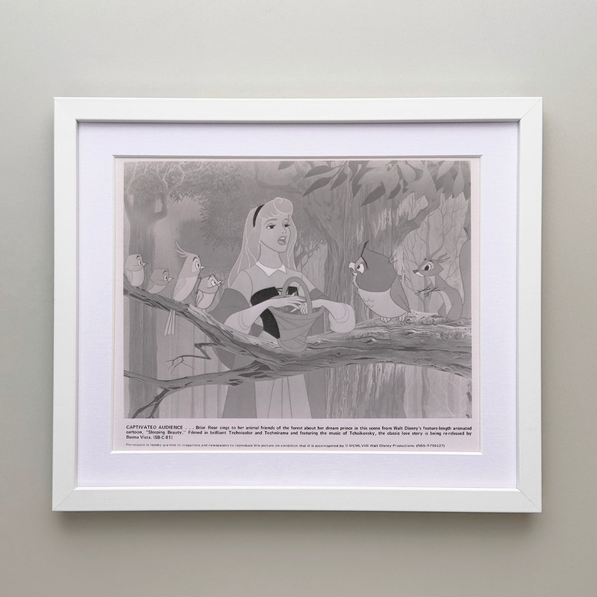 Sleeping Beauty 1959 Film Movie Press Publicity Still Framed