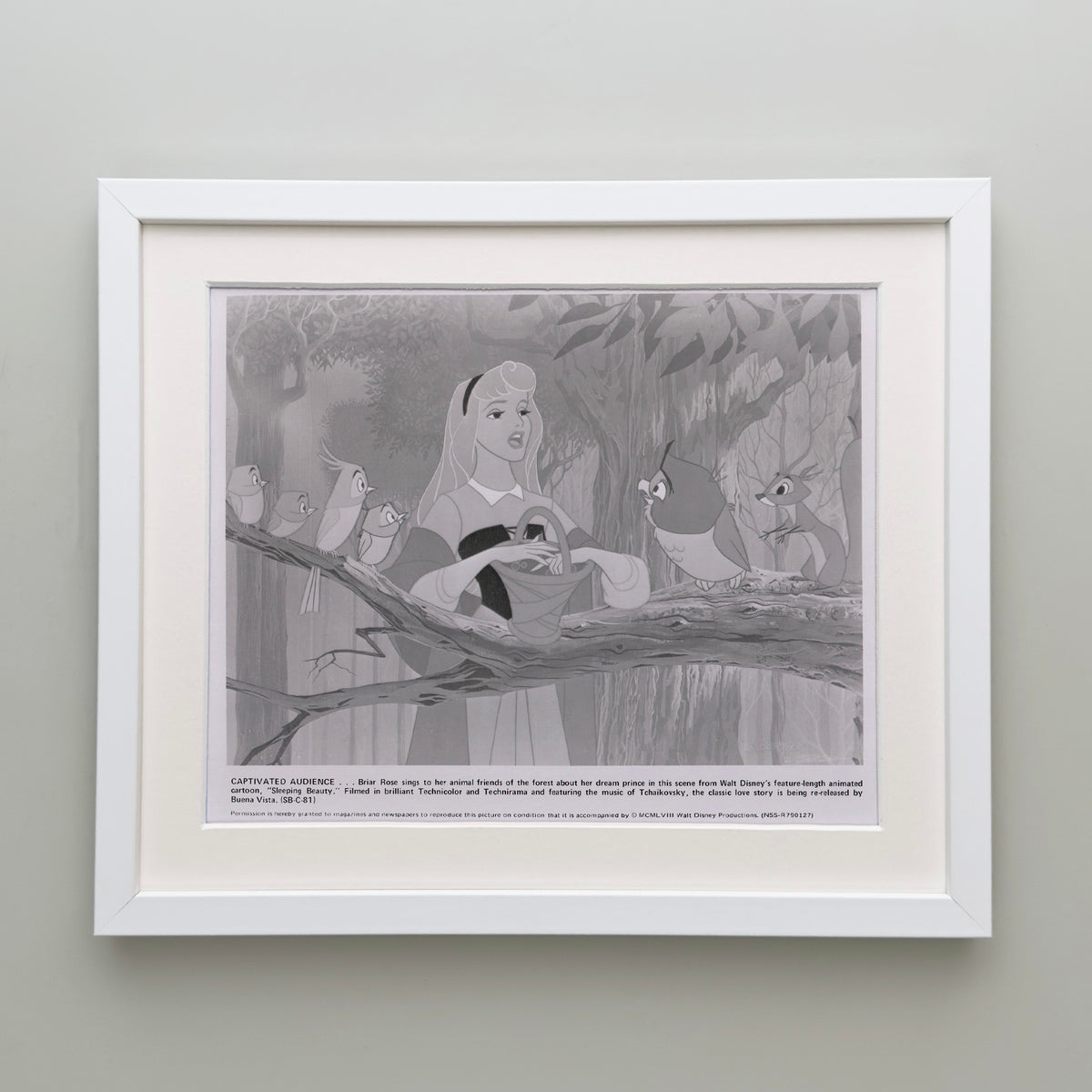 Sleeping Beauty 1959 Film Movie Press Publicity Still Framed