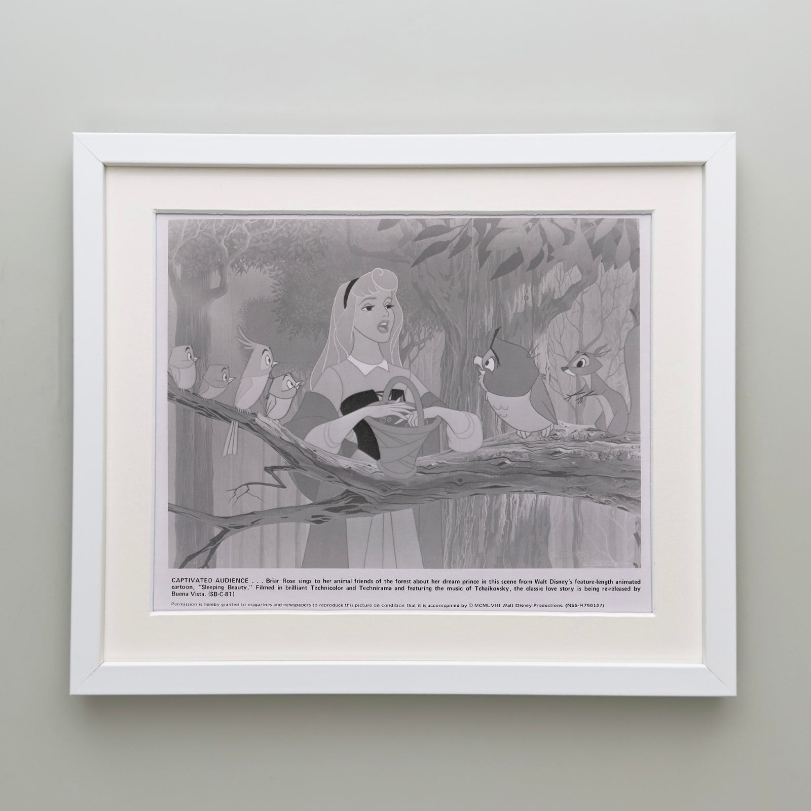Sleeping Beauty 1959 Film Movie Press Publicity Still Framed