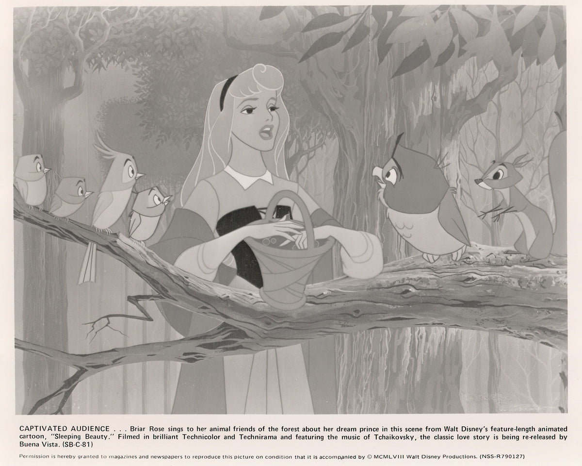 Sleeping Beauty 1959 Film Movie Press Publicity Still Framed