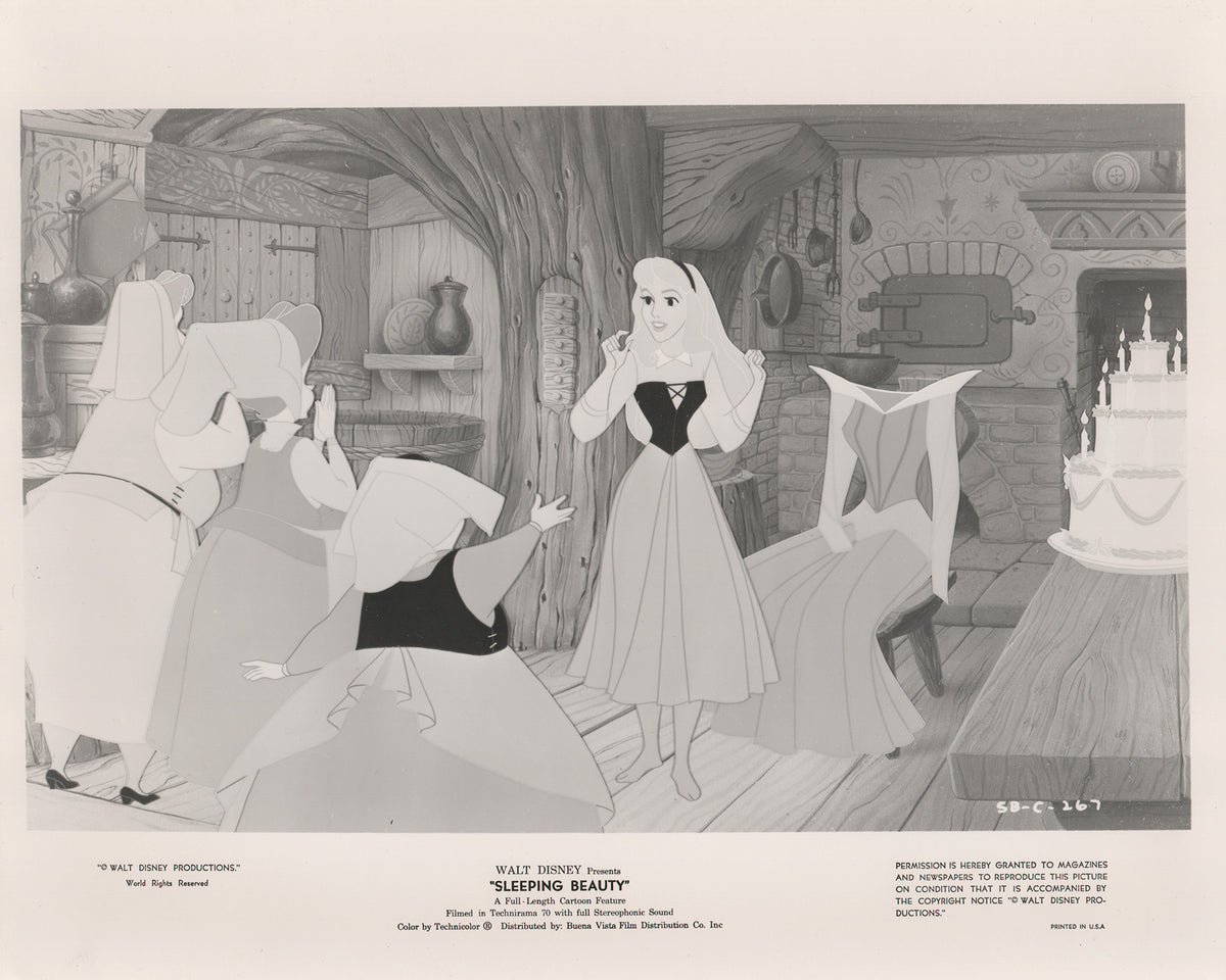 Sleeping Beauty 1959 Film Movie Press Publicity Still Framed