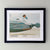 Star Wars 1977 Film Movie Lobby Card Framed