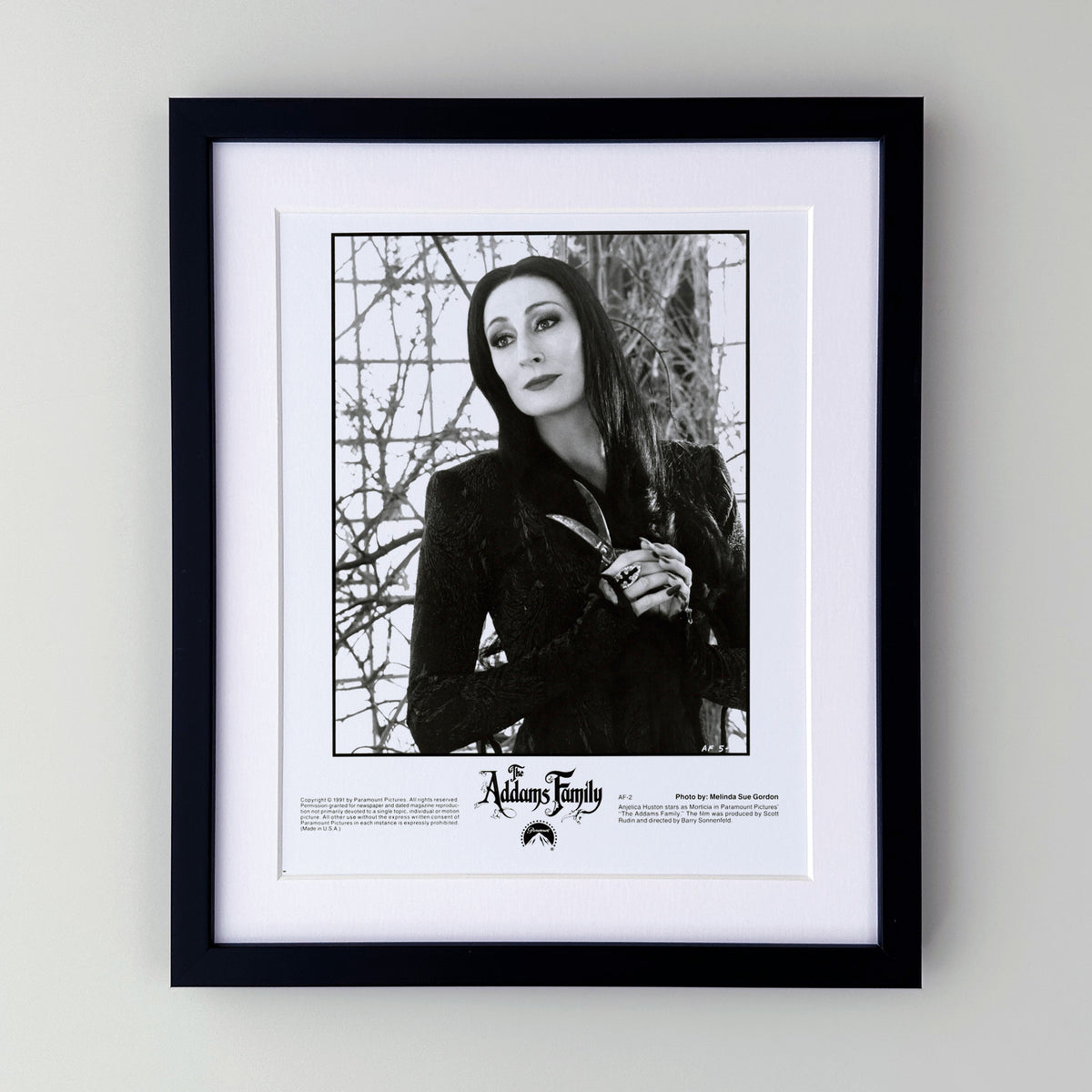 The Addams Family 1991 Press Publicity Film Movie Still - Framed