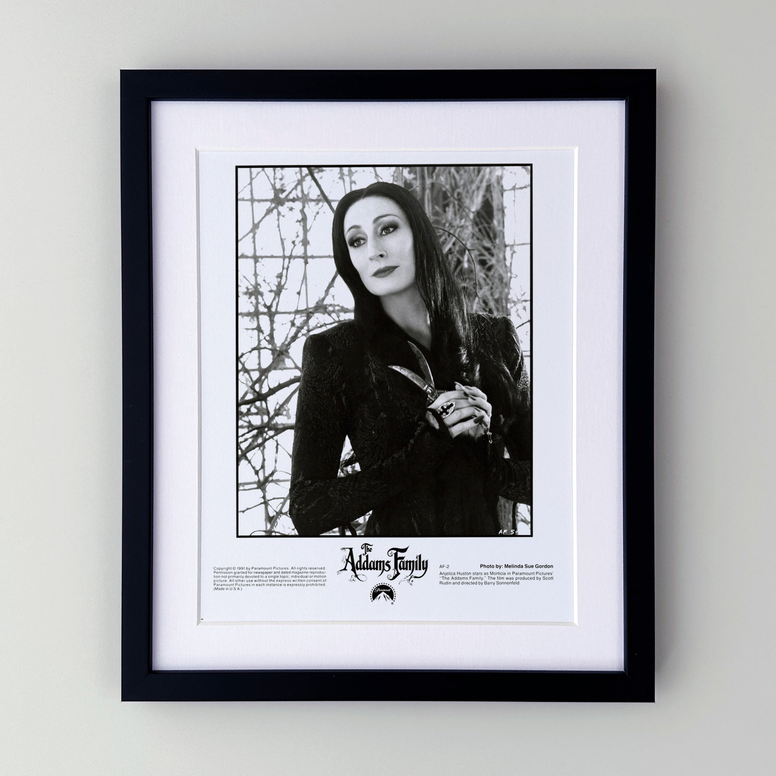 The Addams Family 1991 Press Publicity Film Movie Still - Framed