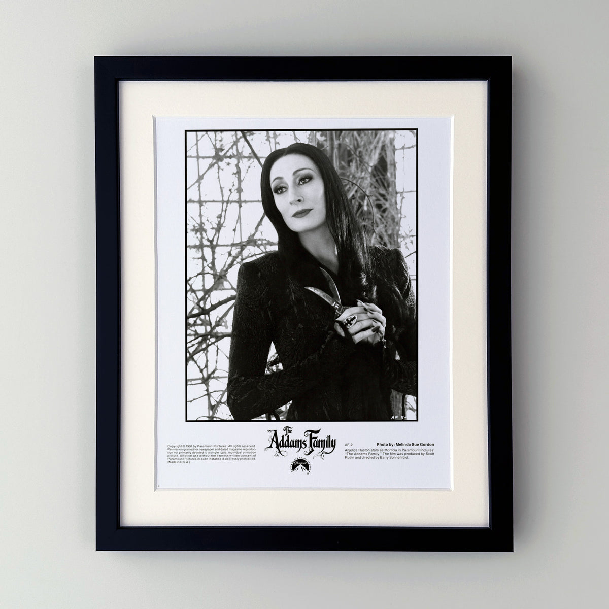The Addams Family 1991 Press Publicity Film Movie Still - Framed