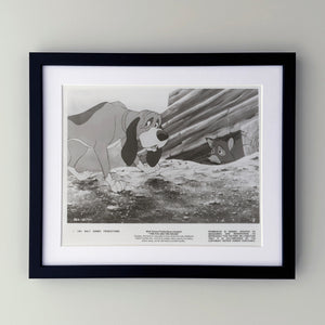 The Fox and the Hound 1981 Film Movie Press Publicity Still Framed