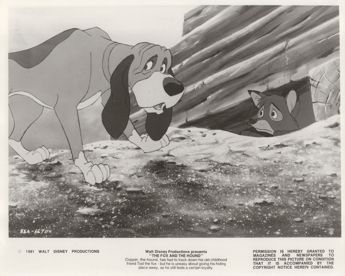 The Fox and the Hound 1981 Film Movie Press Publicity Still Framed