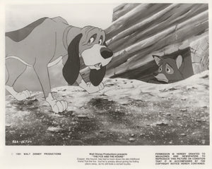 The Fox and the Hound 1981 Film Movie Press Publicity Still Framed