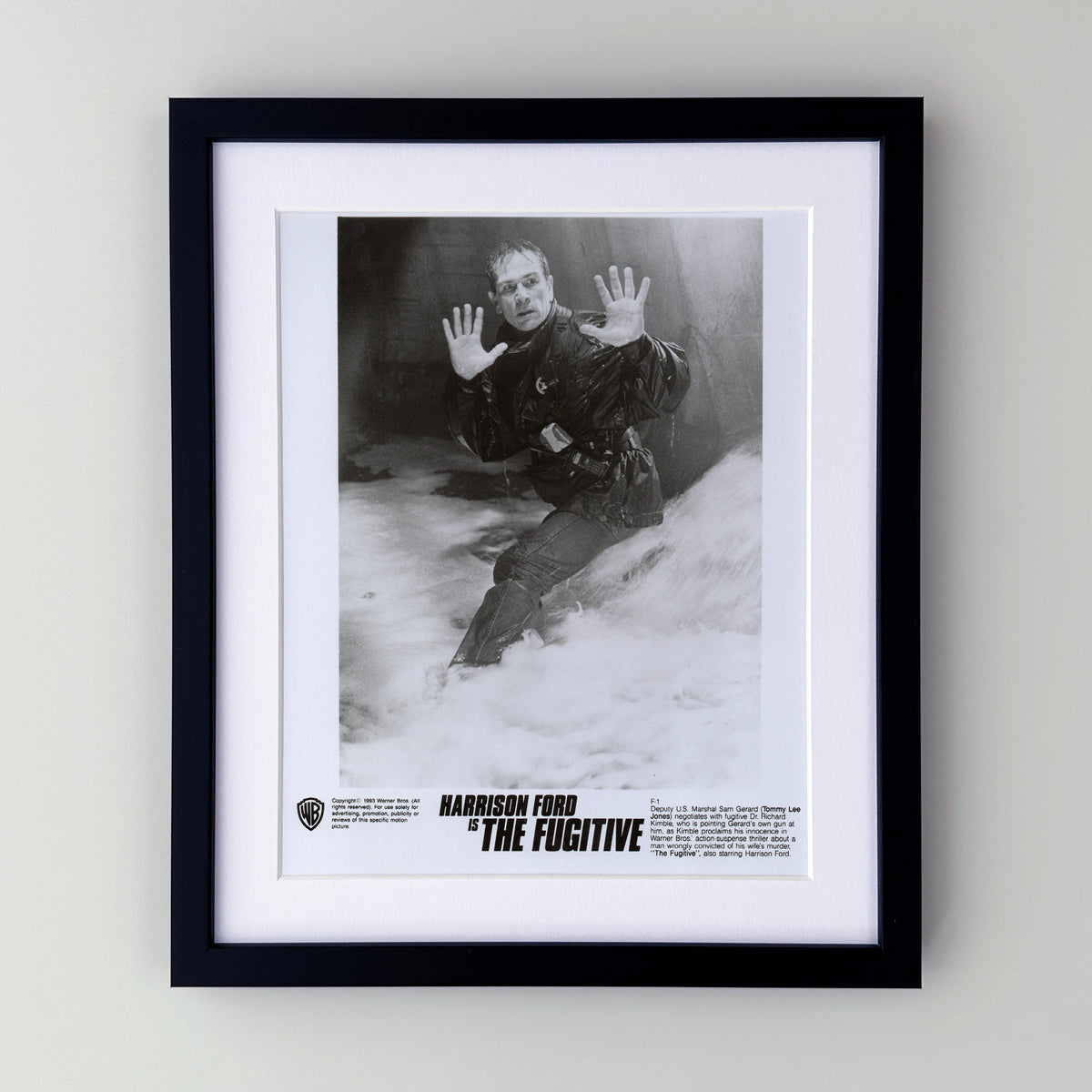 The Fugative 1993 Film Movie Press Publicity Still Framed
