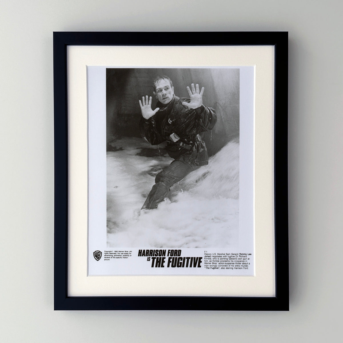 The Fugative 1993 Film Movie Press Publicity Still Framed