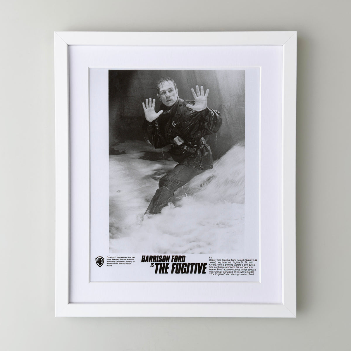 The Fugative 1993 Film Movie Press Publicity Still Framed
