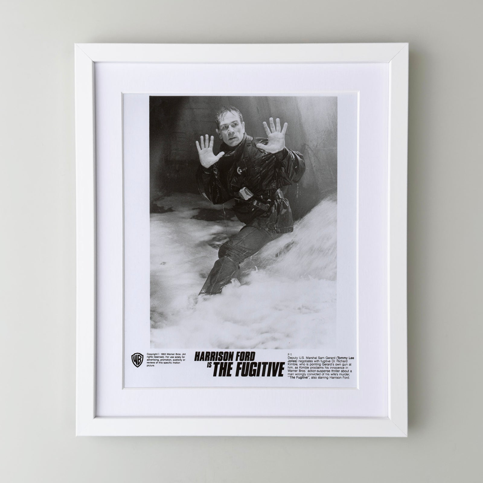 The Fugative 1993 Film Movie Press Publicity Still Framed