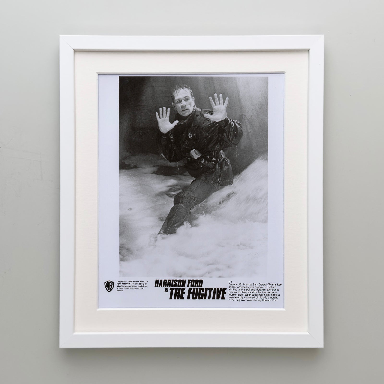 The Fugative 1993 Film Movie Press Publicity Still Framed