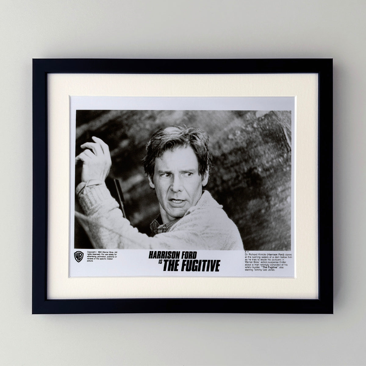 The Fugitive 1993 Film Movie Press Publicity Still Framed