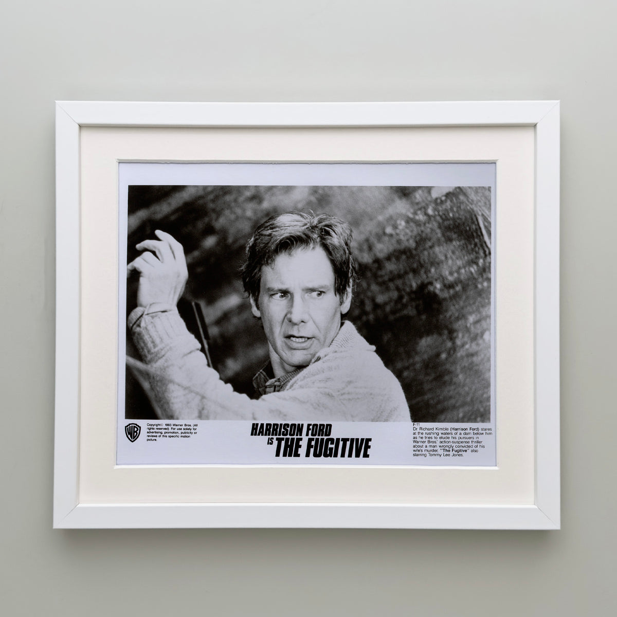 The Fugitive 1993 Film Movie Press Publicity Still Framed