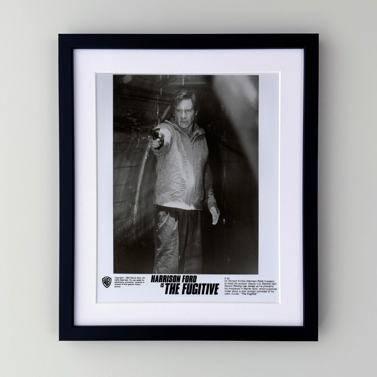 The Fugitive 1993 Film Movie Press Publicity Still Framed