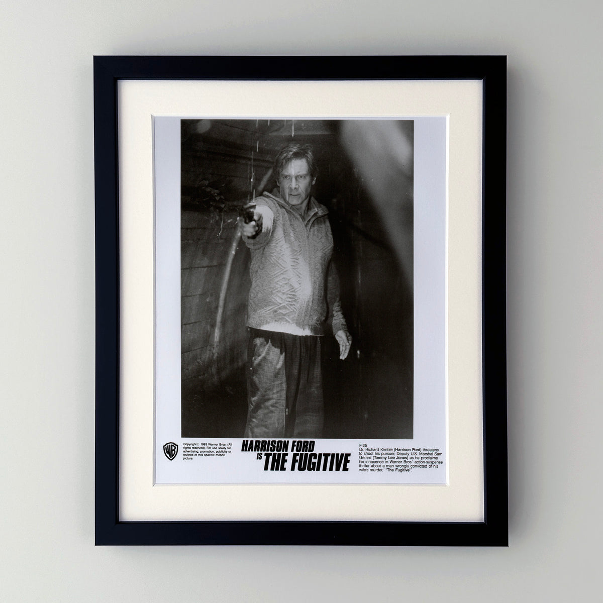 The Fugitive 1993 Film Movie Press Publicity Still Framed