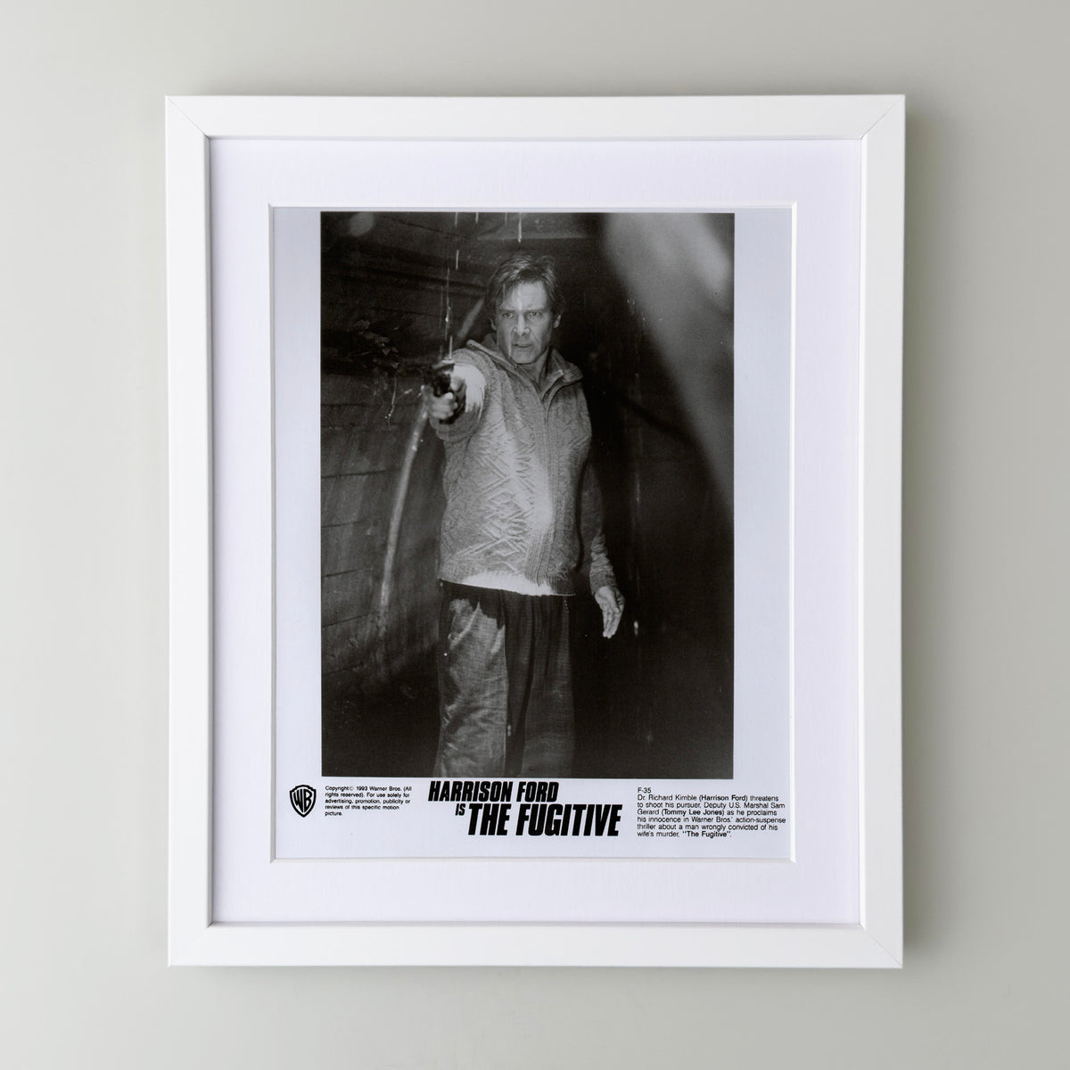 The Fugitive 1993 Film Movie Press Publicity Still Framed