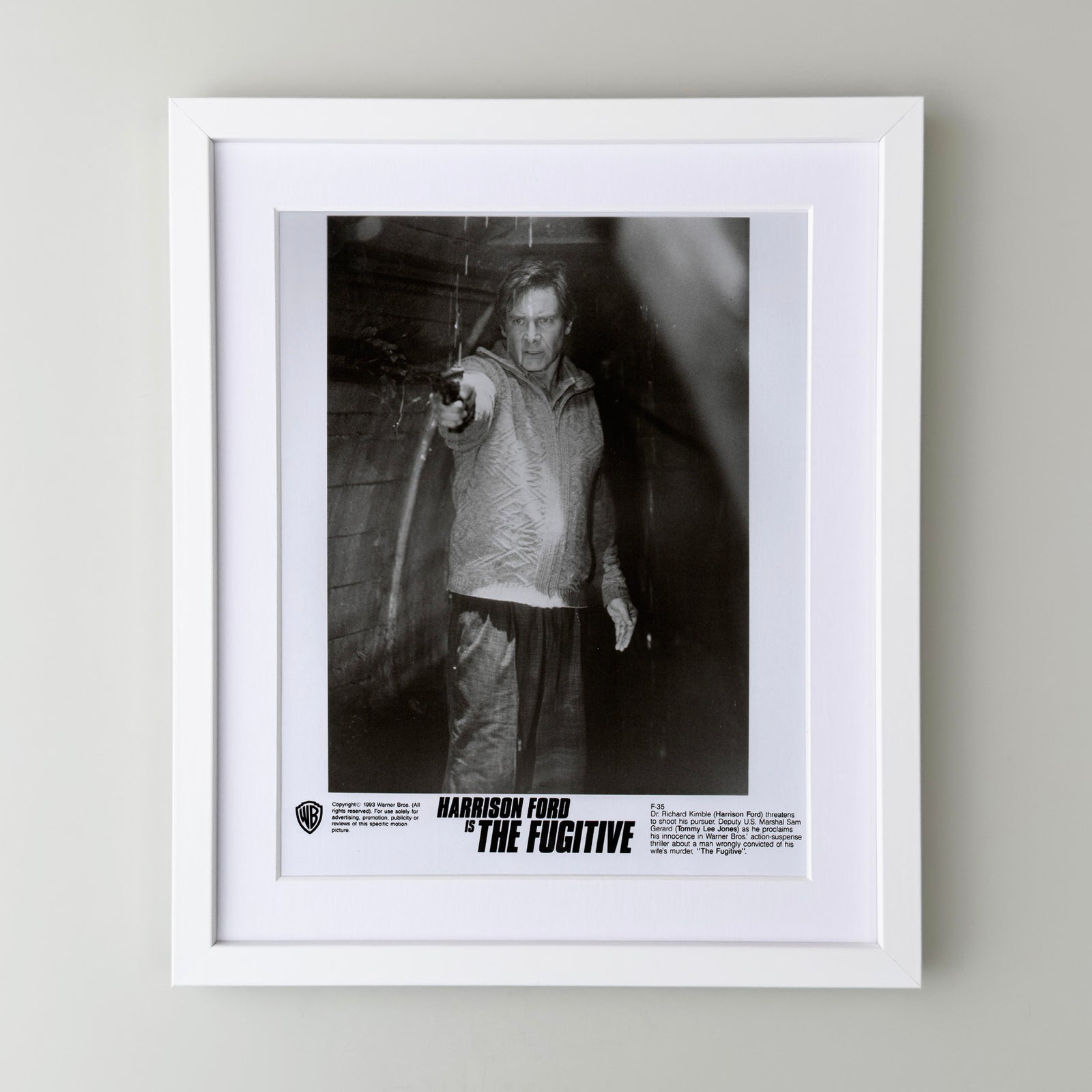 The Fugitive 1993 Film Movie Press Publicity Still Framed