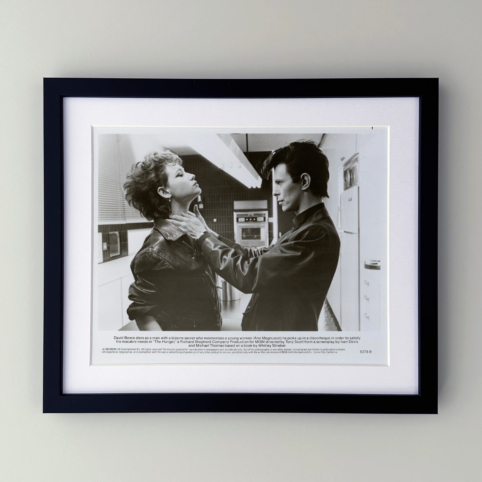 The Hunger 1983 Film Movie Press Publicity Still Framed