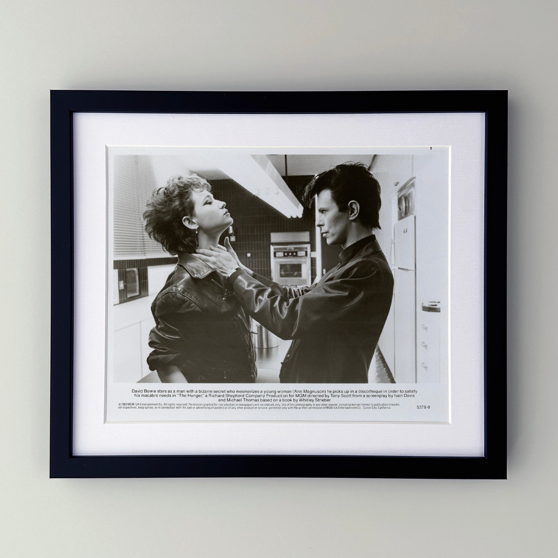 The Hunger 1983 Film Movie Press Publicity Still Framed