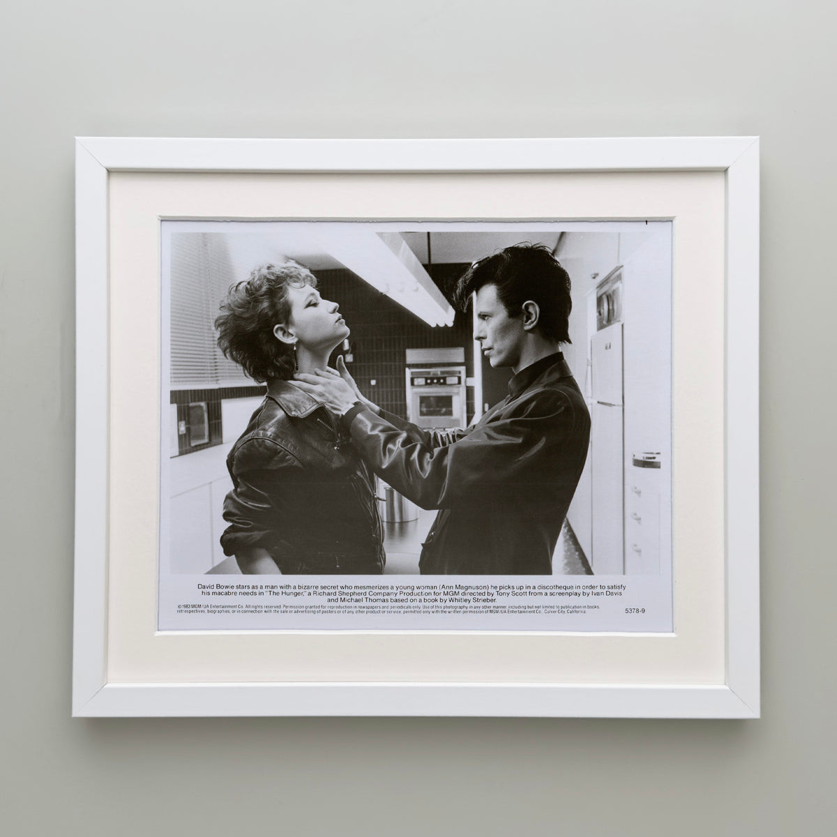 The Hunger 1983 Film Movie Press Publicity Still Framed