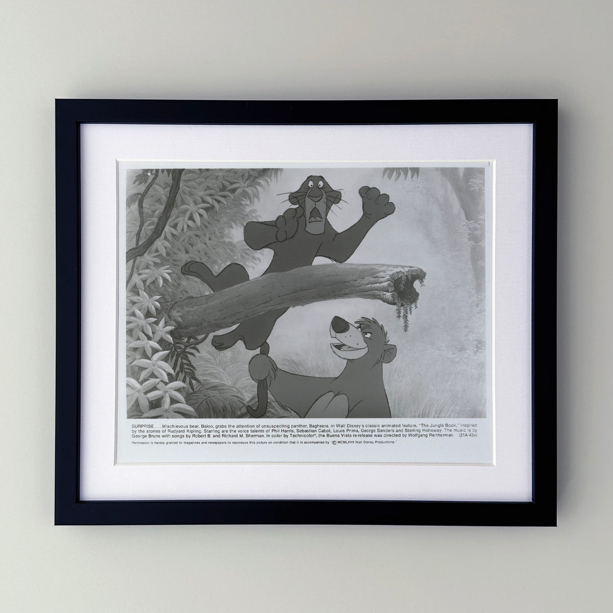 The Jungle Book 1967 Film Movie Press Publicity Still Framed