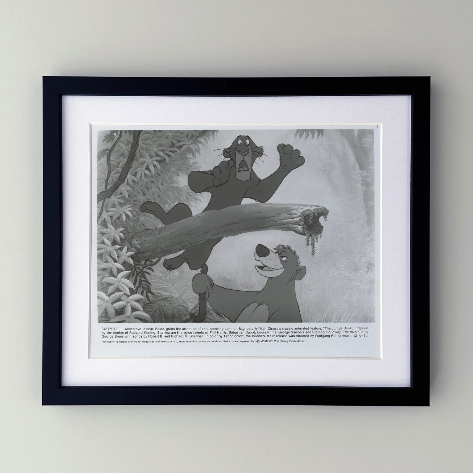 The Jungle Book 1967 Film Movie Press Publicity Still Framed