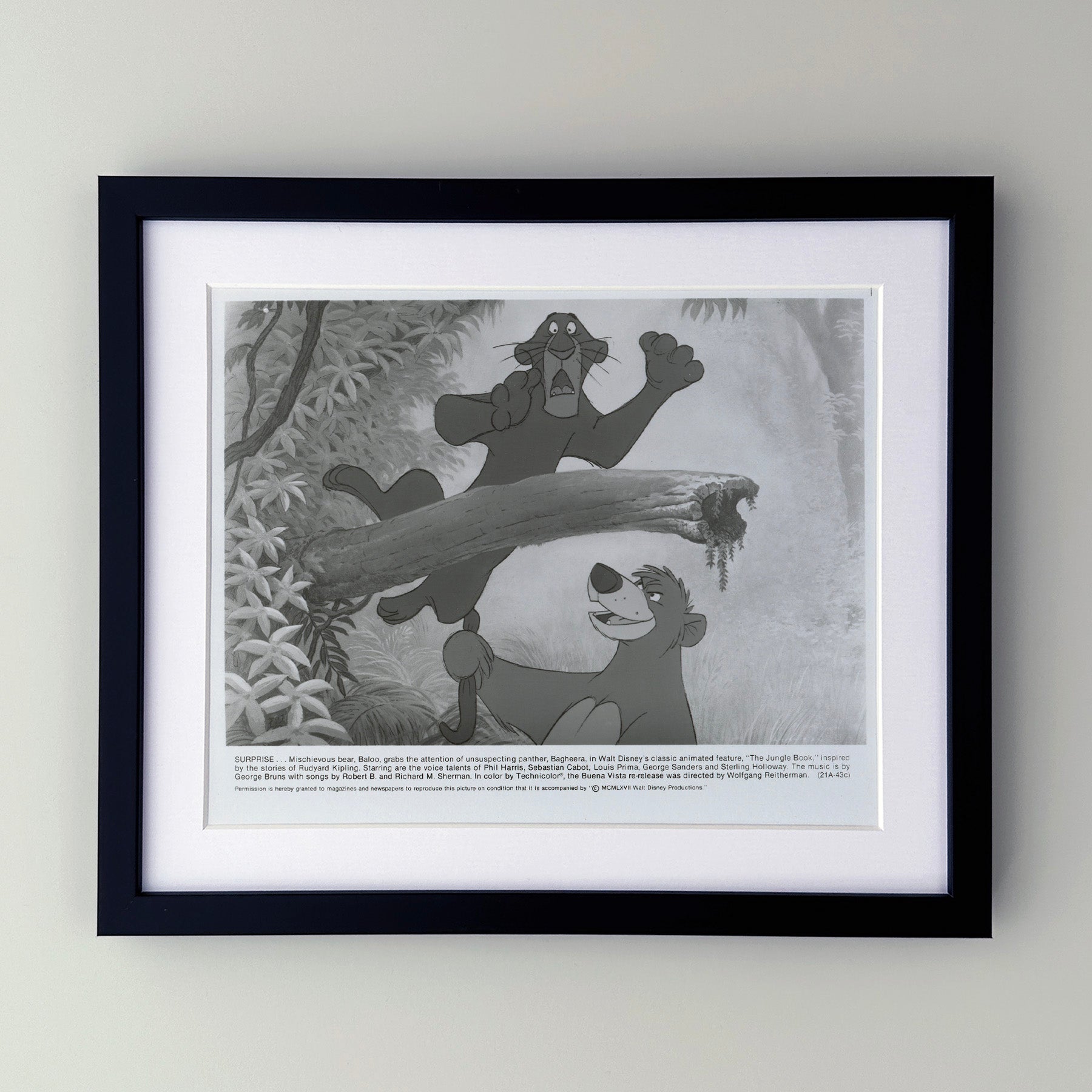 The Jungle Book 1967 Film Movie Press Publicity Still Framed