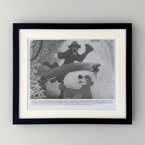 The Jungle Book 1967 Film Movie Press Publicity Still Framed