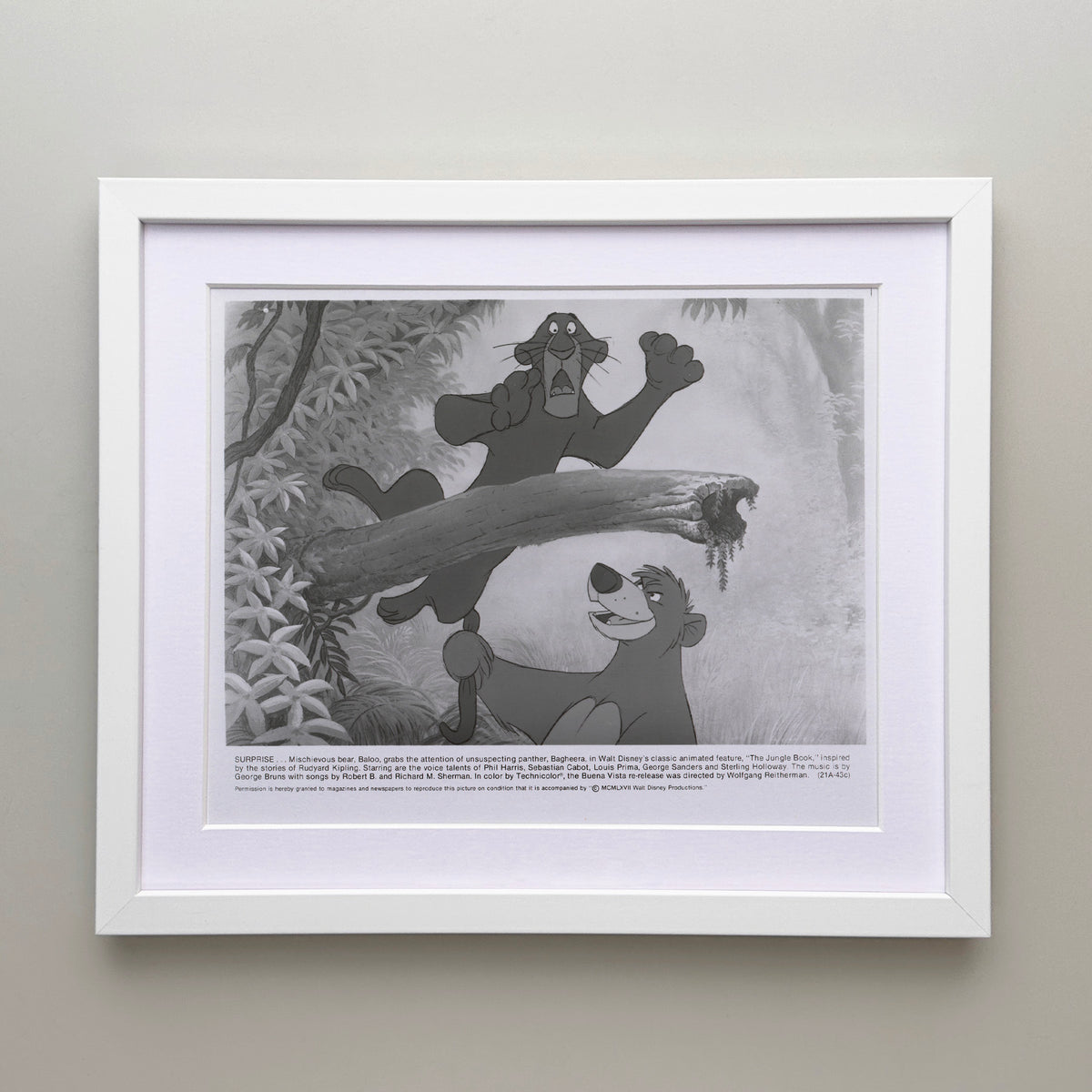 The Jungle Book 1967 Film Movie Press Publicity Still Framed