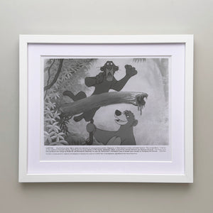 The Jungle Book 1967 Film Movie Press Publicity Still Framed