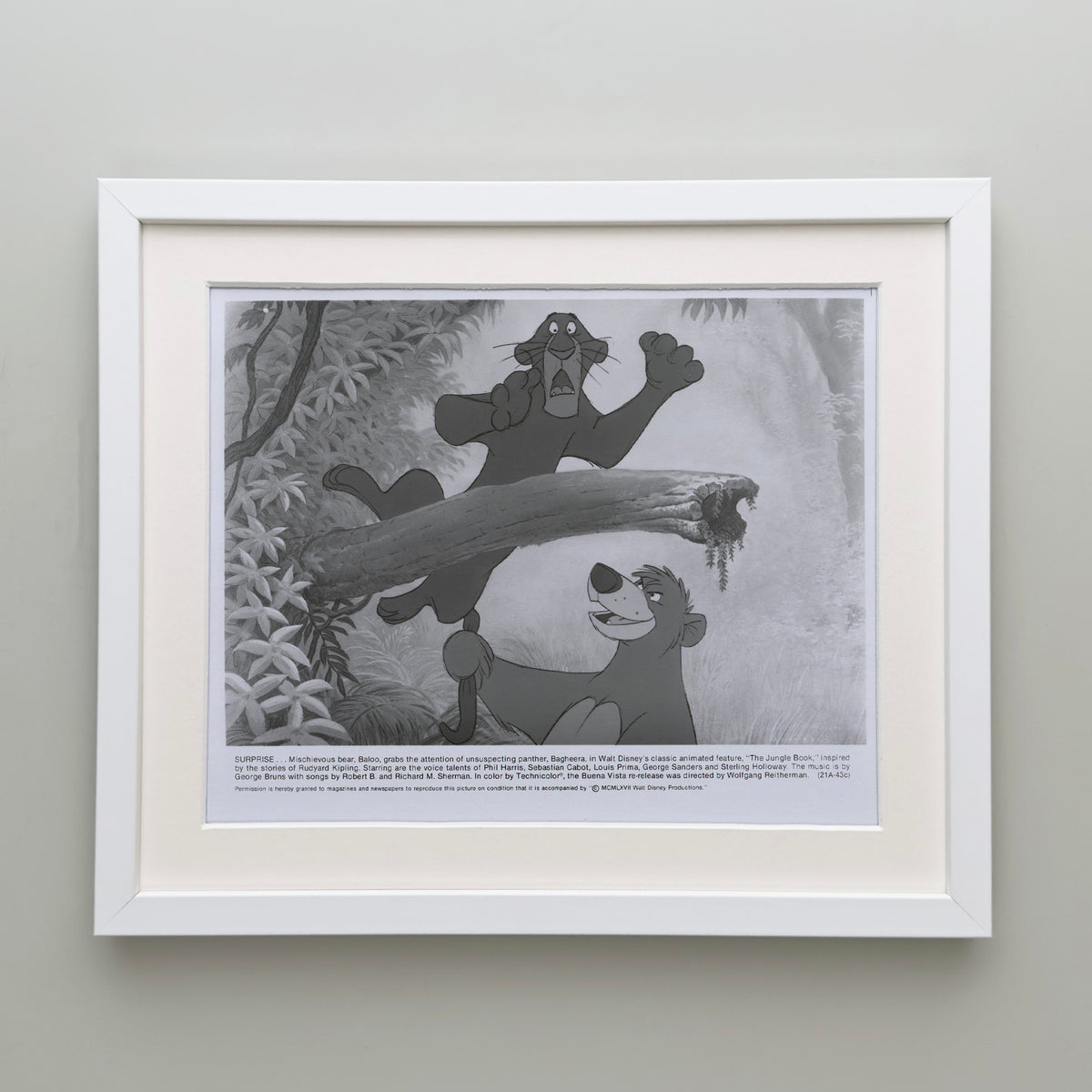 The Jungle Book 1967 Film Movie Press Publicity Still Framed