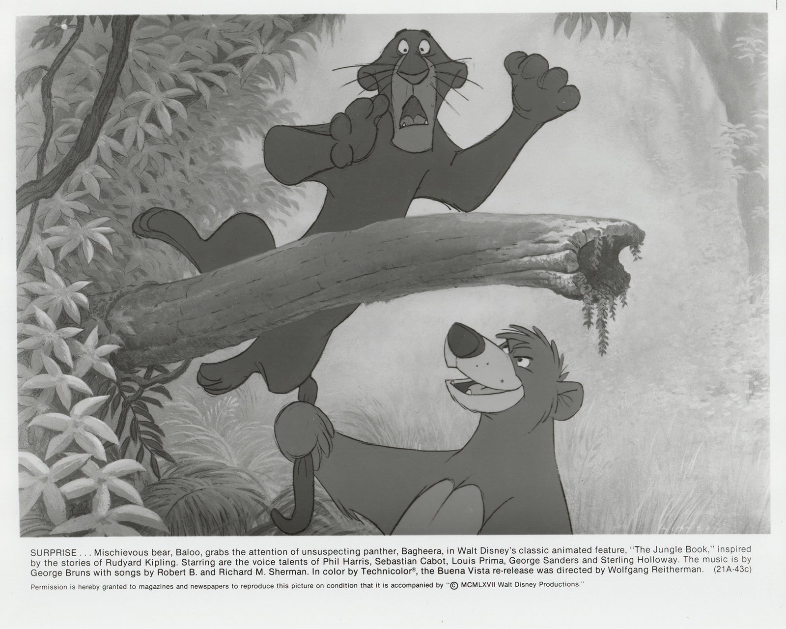 The Jungle Book 1967 Film Movie Press Publicity Still Framed