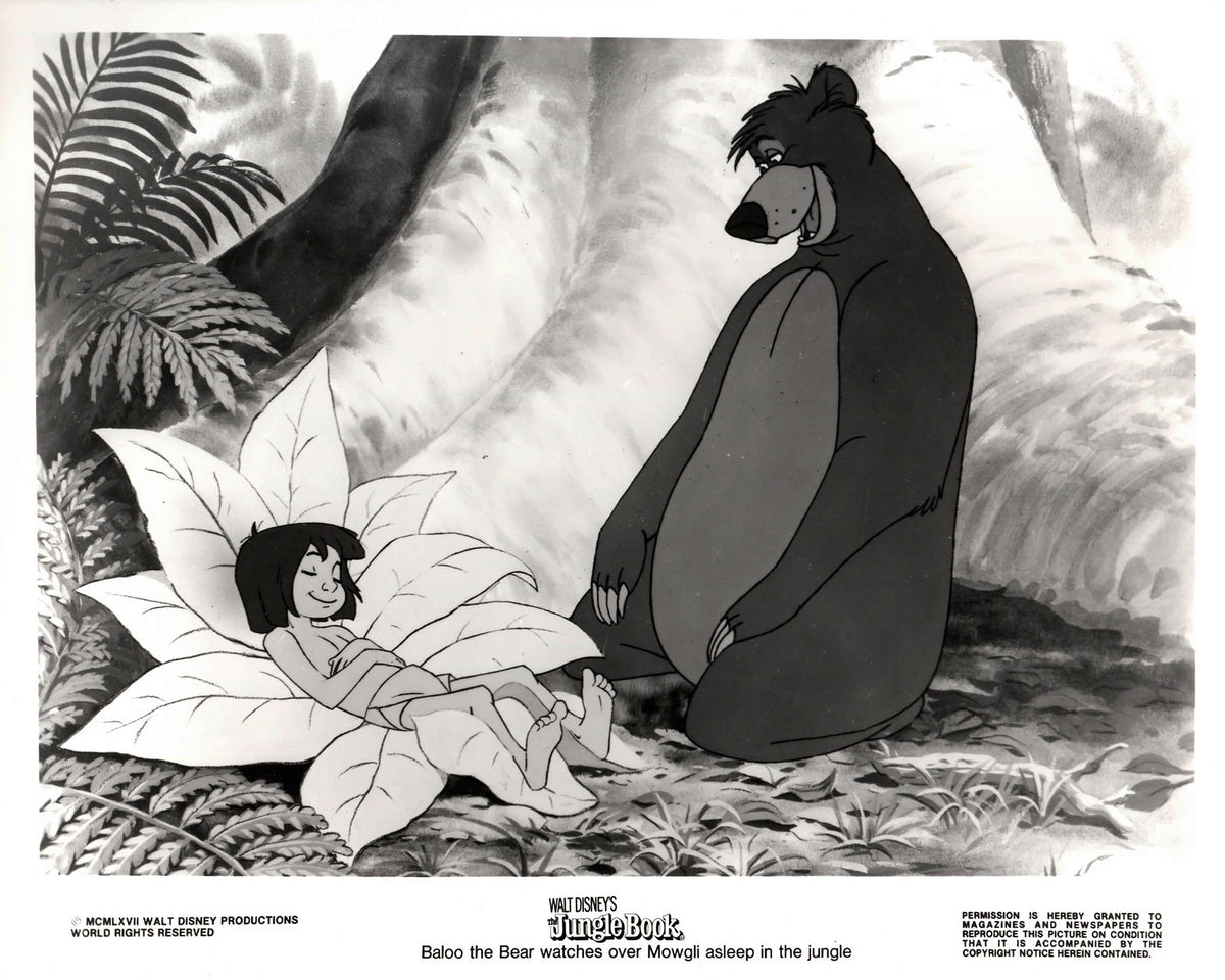 The Jungle Book 1967 Publicity Film Movie Press Still Framed