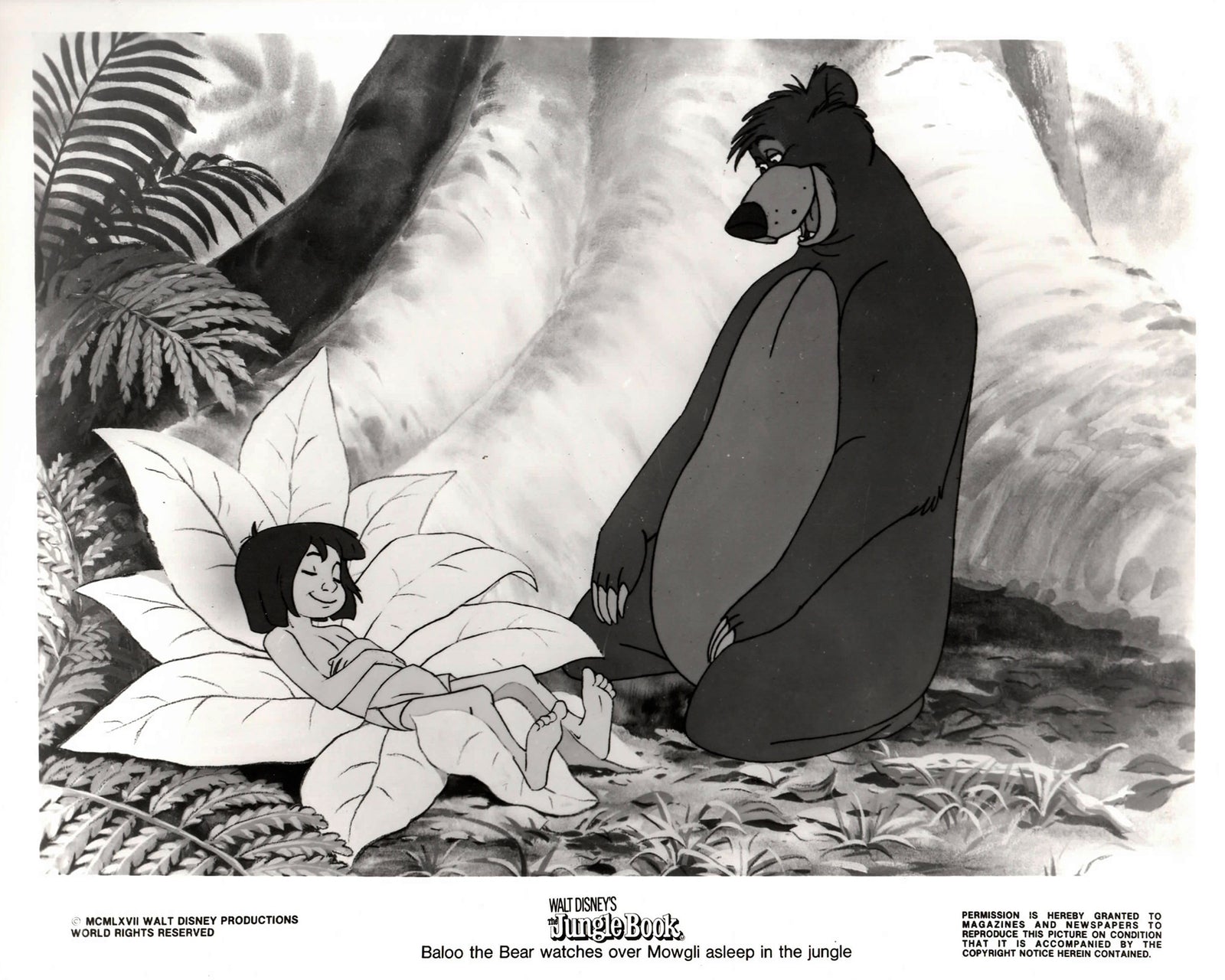 The Jungle Book 1967 Publicity Film Movie Press Still Framed