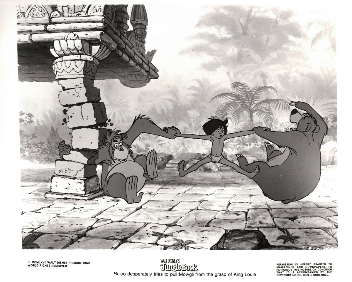 The Jungle Book 1967 Publicity Film Movie Press Still Framed