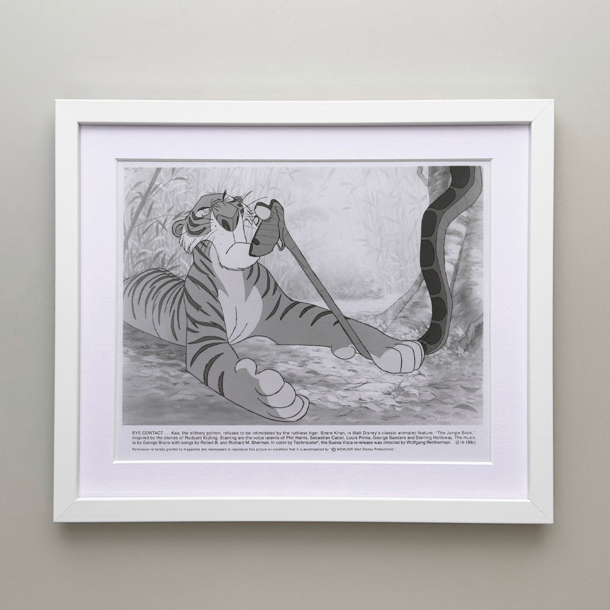 The Jungle Book 1967 Film Movie Press Publicity Still Framed