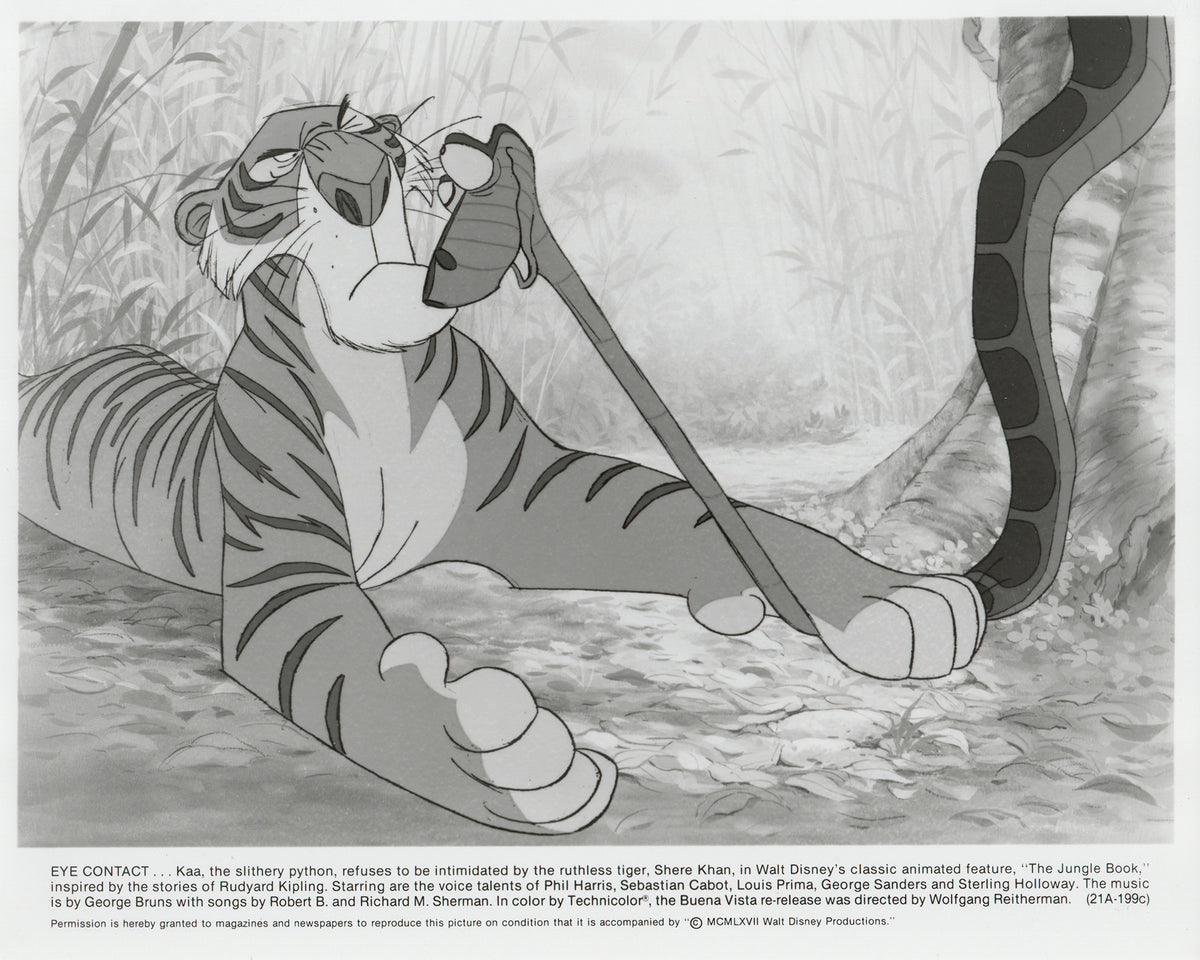 The Jungle Book 1967 Film Movie Press Publicity Still Framed