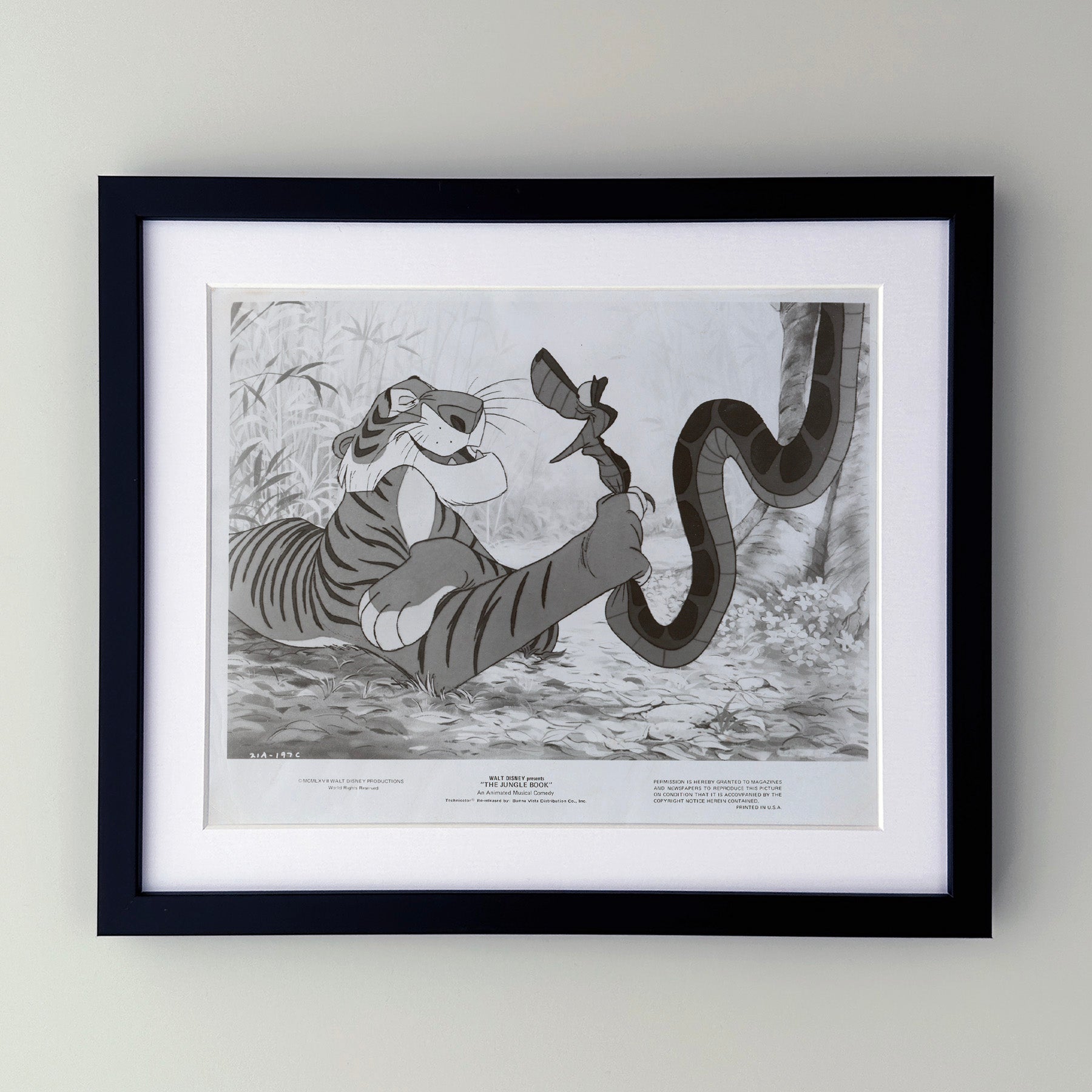 The Jungle Book 1967 Film Movie Press Publicity Still Framed