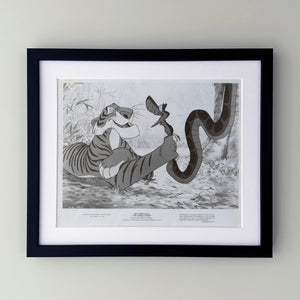 The Jungle Book 1967 Film Movie Press Publicity Still Framed