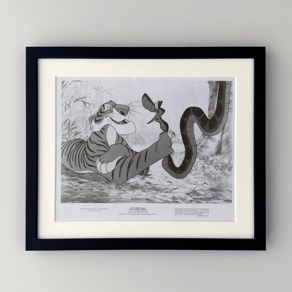 The Jungle Book 1967 Film Movie Press Publicity Still Framed