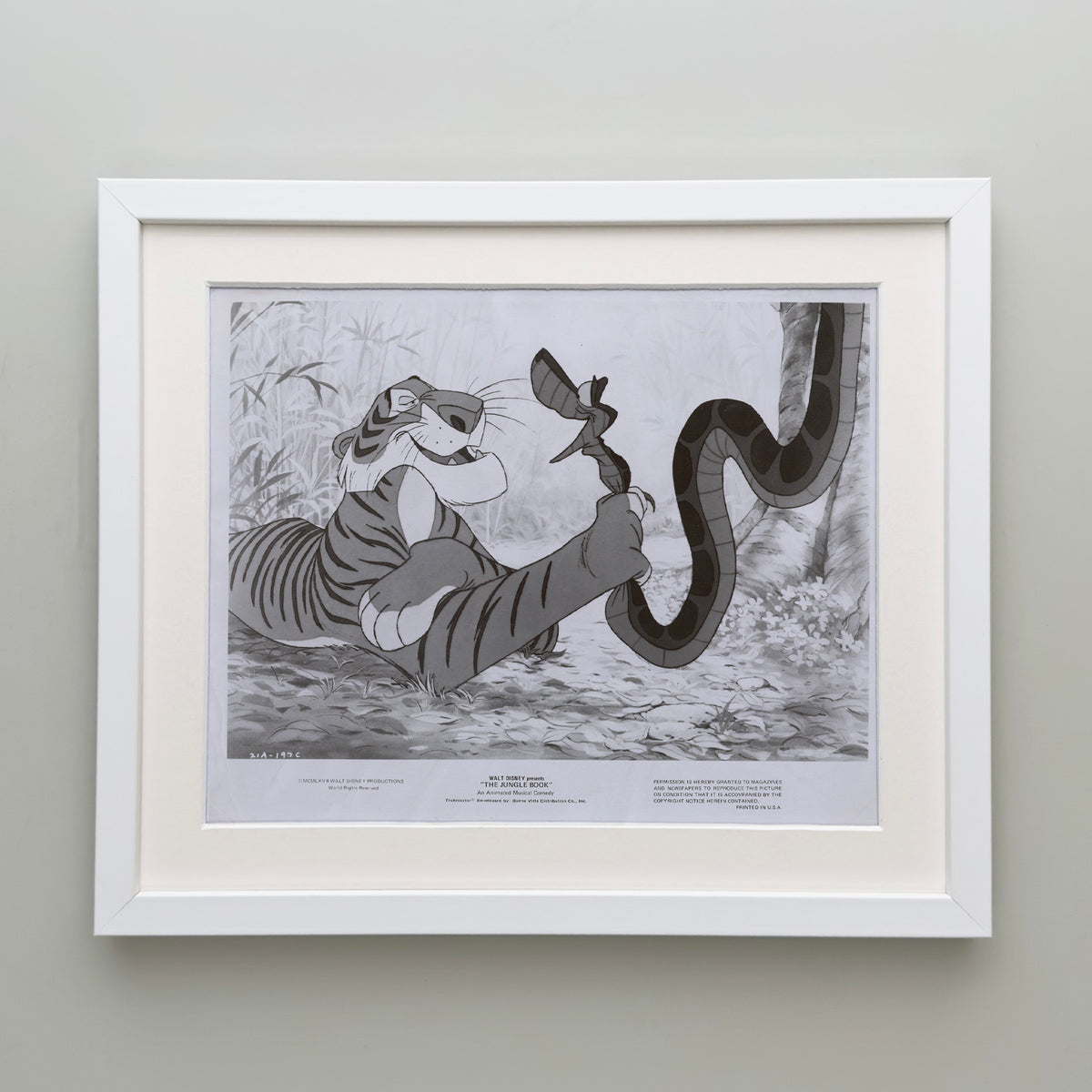 The Jungle Book 1967 Film Movie Press Publicity Still Framed