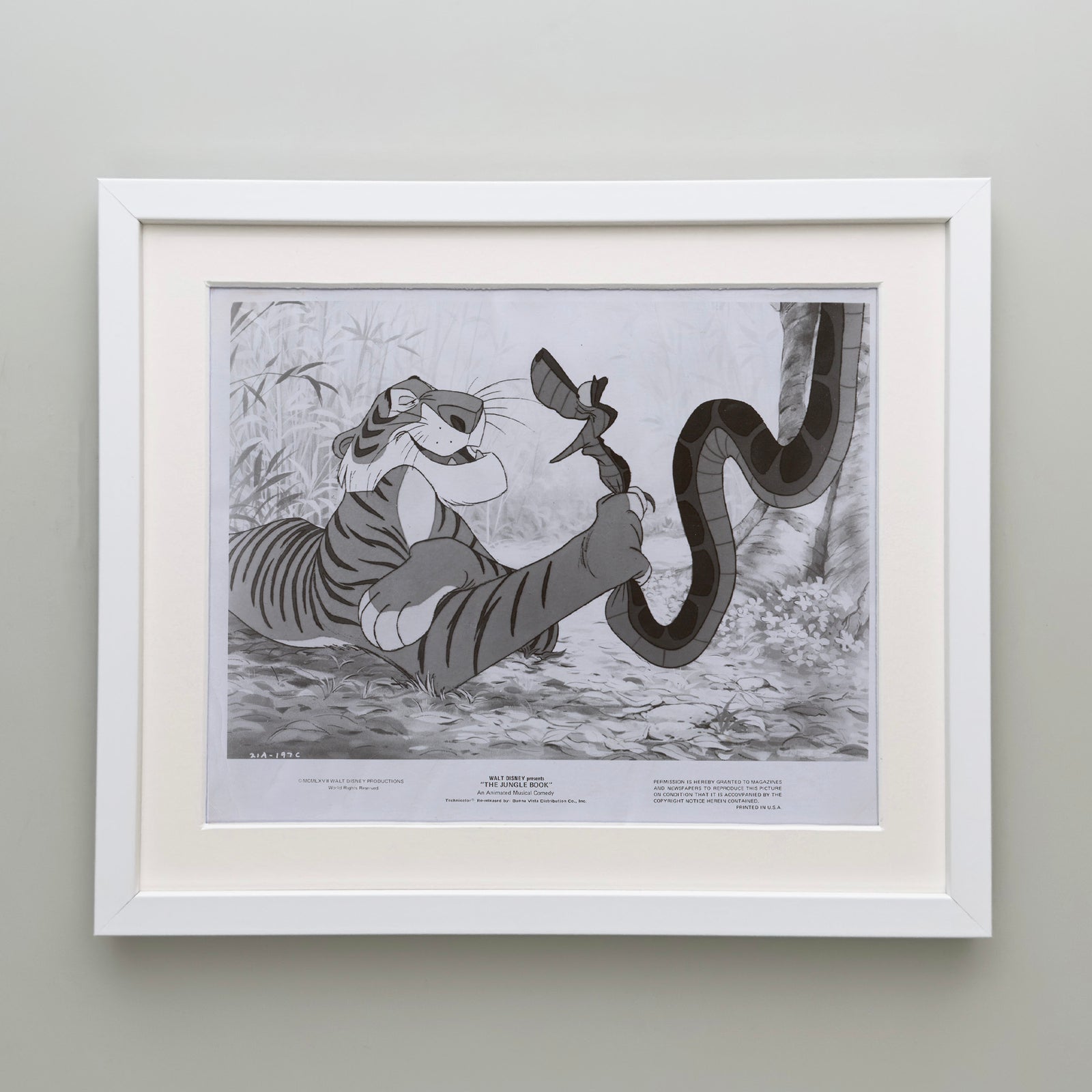 The Jungle Book 1967 Film Movie Press Publicity Still Framed