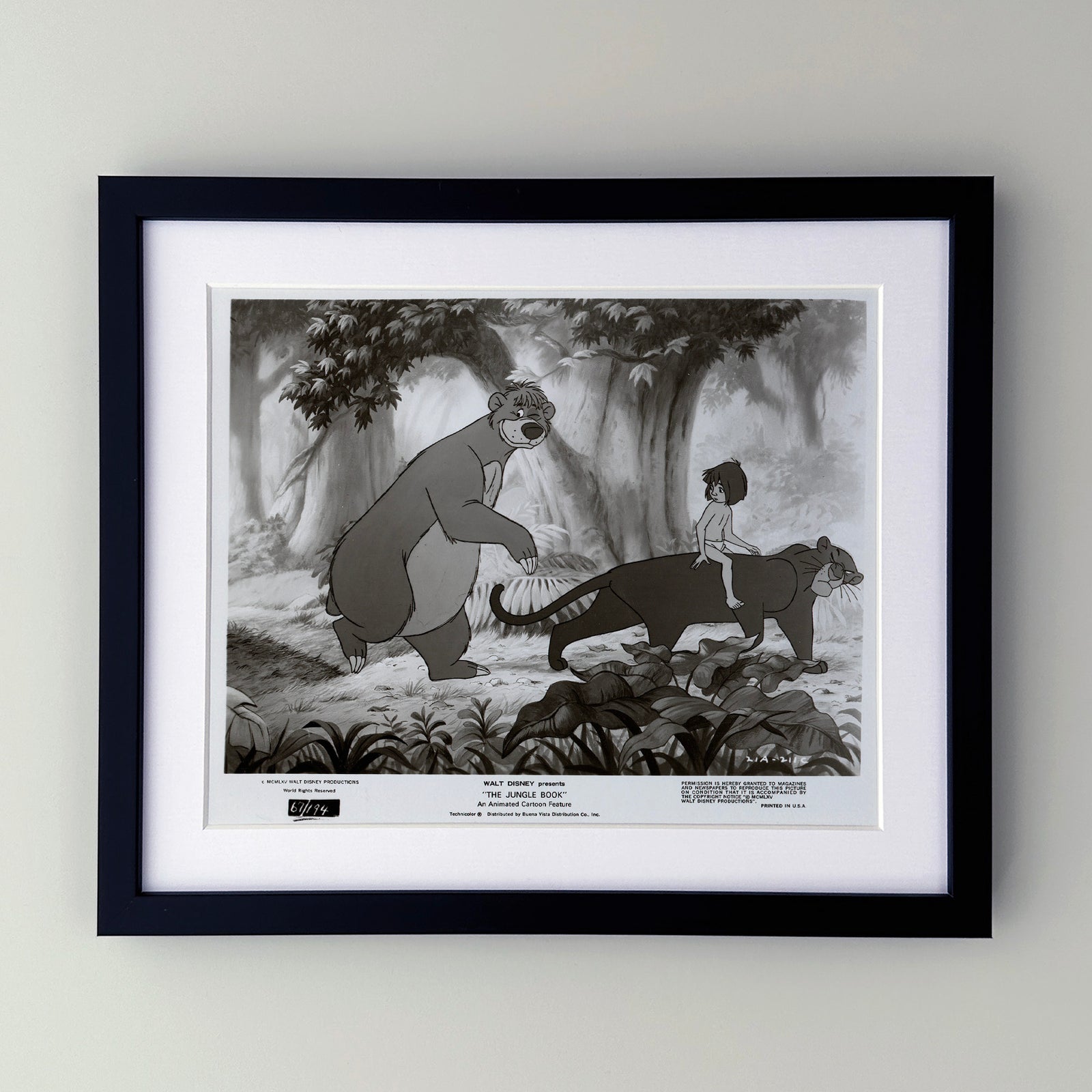 The Jungle Book 1967 Film Movie Press Publicity Still Framed