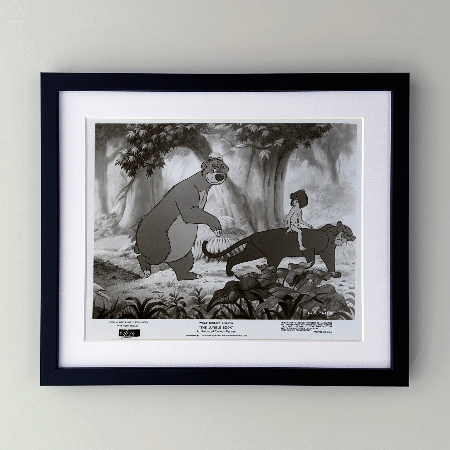 The Jungle Book 1967 Film Movie Press Publicity Still Framed