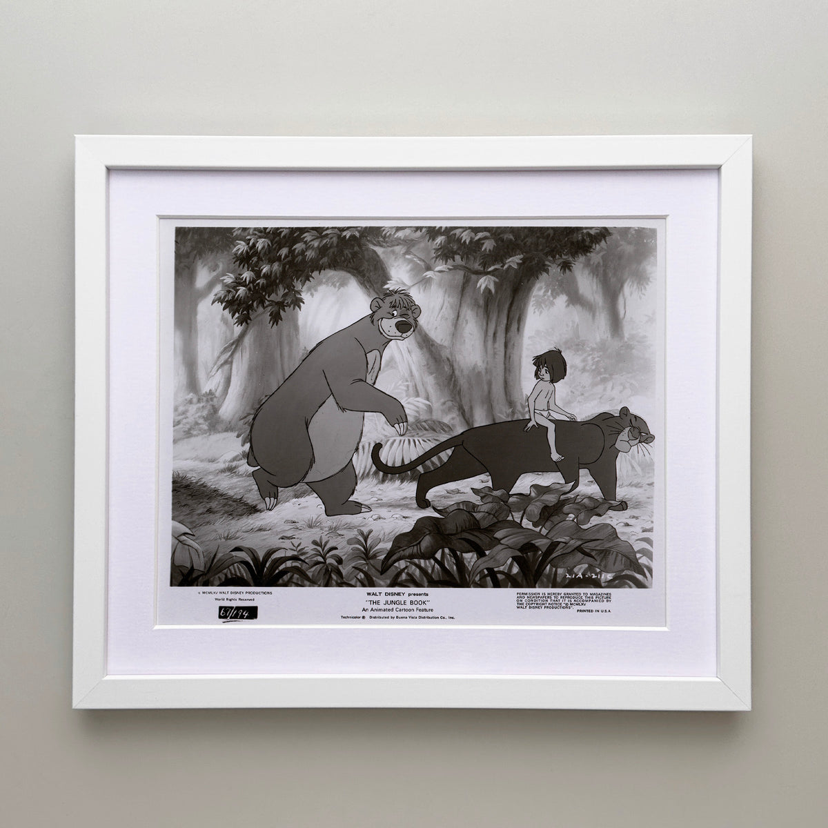 The Jungle Book 1967 Film Movie Press Publicity Still Framed