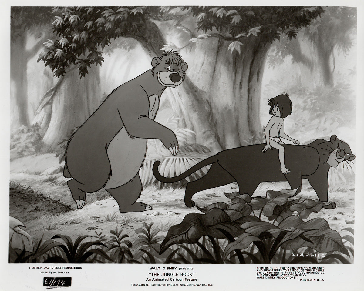 The Jungle Book 1967 Film Movie Press Publicity Still Framed
