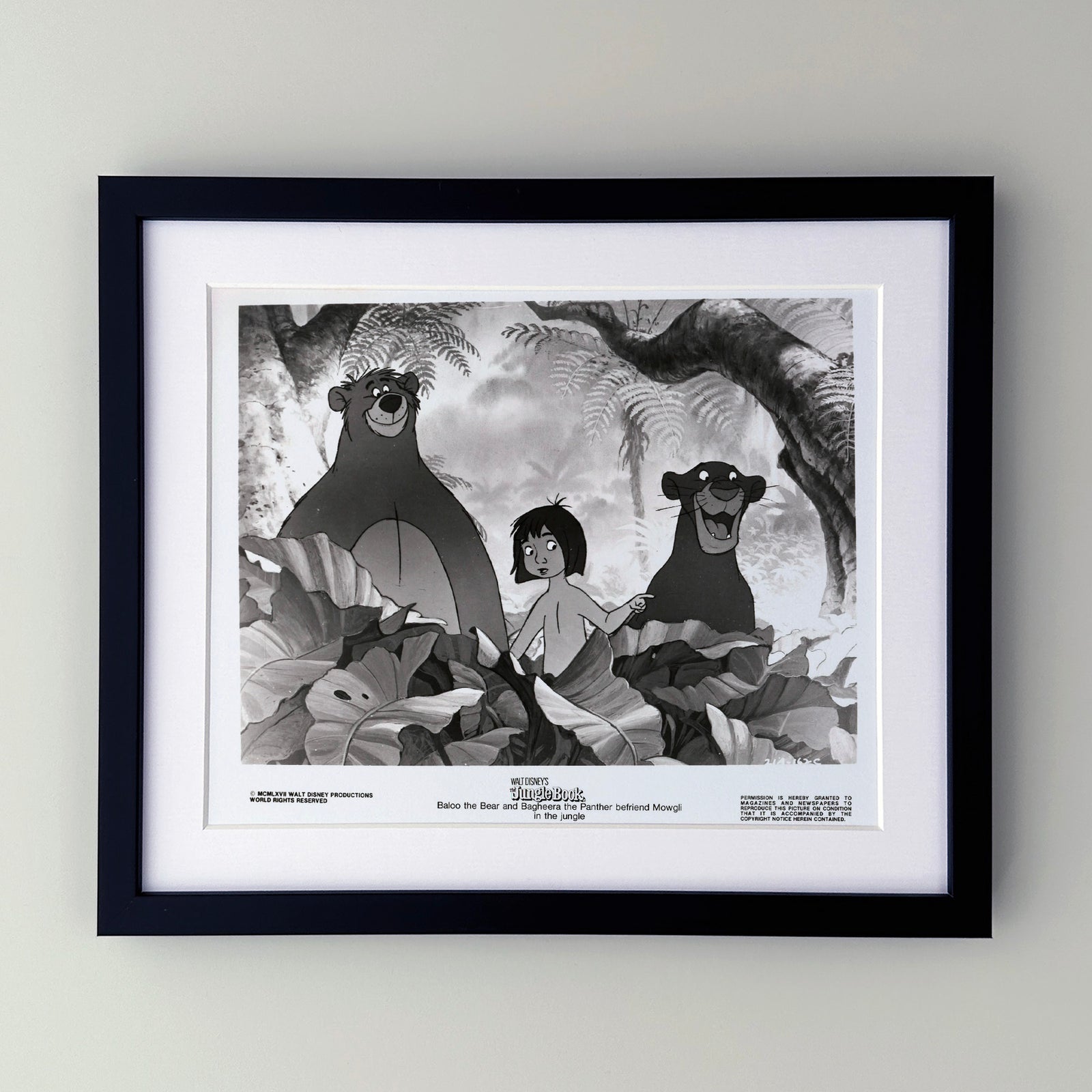 The Jungle Book 1967 Publicity Film Movie Press Still Framed